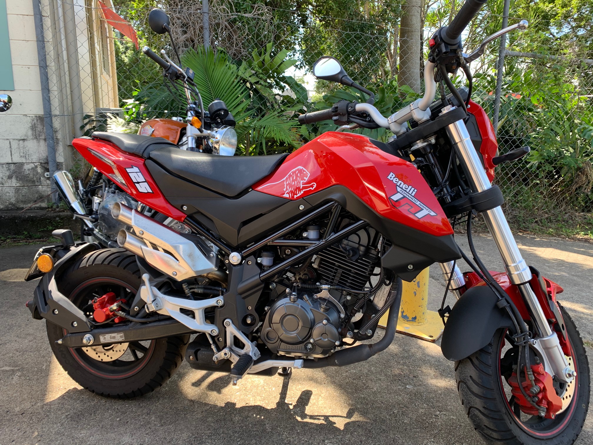 Used Benelli TNT 125 - Red - Scooter Style & Noosa Motorcycles